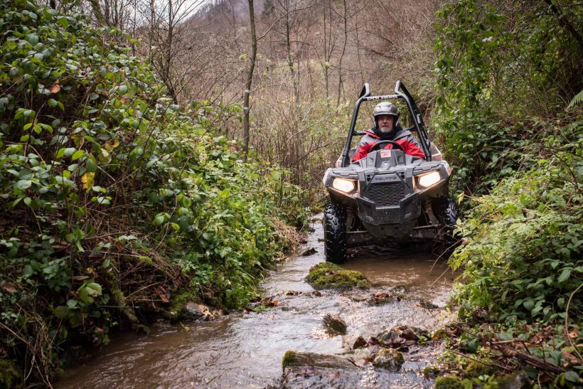 030 Lazy Horse Buggy photo Sulejman Omerbasic