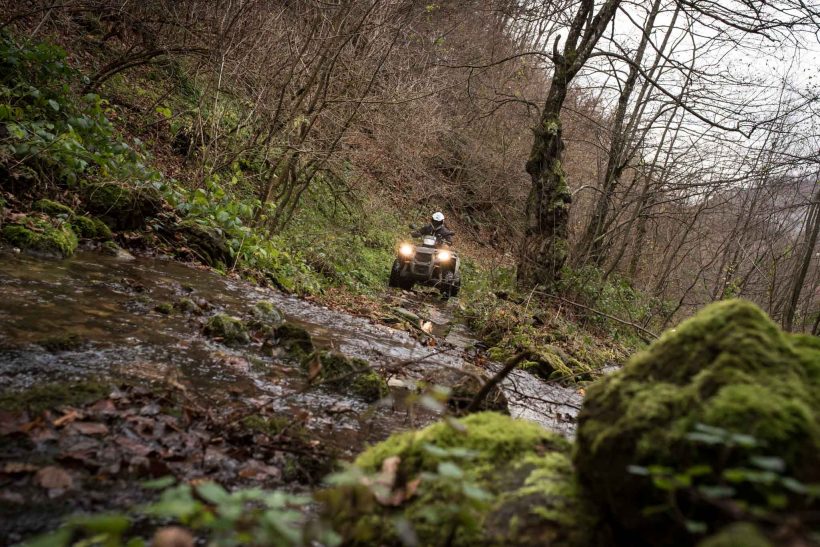 034 Lazy Horse Buggy photo Sulejman Omerbasic