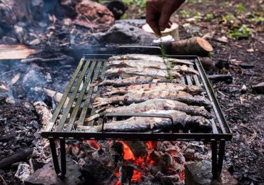 Fresh trout from black river